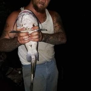 Meet your Posher, Steve